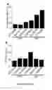 Fig. 52 - HUMAN INDUCED NEURONAL CELLS