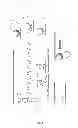 Fig. 07 - ENZYME DIRECTED ASSEMBLY OF PARTICLE THERANOSTICS