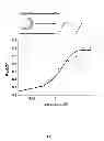 Fig. 09 - ENZYME DIRECTED ASSEMBLY OF PARTICLE THERANOSTICS