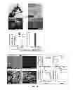 Fig. 12 - ENZYME DIRECTED ASSEMBLY OF PARTICLE THERANOSTICS