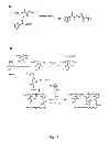Fig. 18 - ENZYME DIRECTED ASSEMBLY OF PARTICLE THERANOSTICS