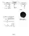Fig. 27 - ENZYME DIRECTED ASSEMBLY OF PARTICLE THERANOSTICS