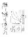 Fig. 30 - ENZYME DIRECTED ASSEMBLY OF PARTICLE THERANOSTICS