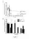 Fig. 37 - ENZYME DIRECTED ASSEMBLY OF PARTICLE THERANOSTICS