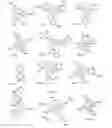 Fig. 01 - Imaging contrast agents and uses thereof