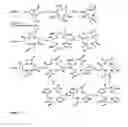 Fig. 20 - Imaging contrast agents and uses thereof