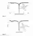 Fig. 22 - Imaging contrast agents and uses thereof