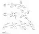 Fig. 24 - Imaging contrast agents and uses thereof