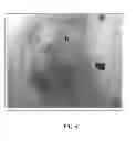 Fig. 13 - Molecules, compositions, and methods for light absorption