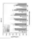 Fig. 09 - Compositions comprising citrate and applications thereof