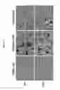 Fig. 12 - Compositions comprising citrate and applications thereof