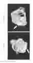 Fig. 14 - Compositions comprising citrate and applications thereof