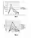Fig. 06 - Derivatives of recombinant proteins, homo-multimers of granulocyte colony-stimulating factor and method of preparation thereof