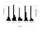 Fig. 07 - Derivatives of recombinant proteins, homo-multimers of granulocyte colony-stimulating factor and method of preparation thereof