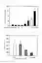 Fig. 05 - Hydrogel comprising catechol group-coupled chitosan or polyamine and poloxamer comprising thiol group coupled to end thereof, preparation method thereof, and hemostat using same