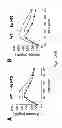 Fig. 14 - Method to screen for an activator of adipose-resident NK cells