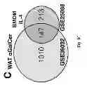 Fig. 24 - Method to screen for an activator of adipose-resident NK cells