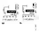 Fig. 25 - Method to screen for an activator of adipose-resident NK cells