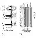 Fig. 32 - Method to screen for an activator of adipose-resident NK cells