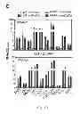 Fig. 34 - Method to screen for an activator of adipose-resident NK cells