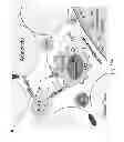 Fig. 37 - Method to screen for an activator of adipose-resident NK cells