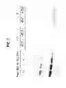 Fig. 03 - Yeast-based compositions and methods for the treatment or prevention of hepatitis delta virus infection