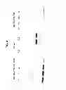 Fig. 05 - Yeast-based compositions and methods for the treatment or prevention of hepatitis delta virus infection
