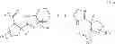 Fig. 1741 - NOVEL BENZIMIDAZOLE DERIVATIVES