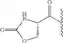 Fig. 896 - NOVEL BENZIMIDAZOLE DERIVATIVES