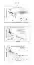Fig. 19 - Biodegradable Drug Delivery Composition