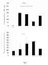Fig. 06 - Method for reducing uremic toxins by probiotic composition and the manufacturing method thereof