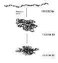 Fig. 09 - Pluripotent therapeutic compositions and uses thereof
