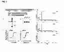Fig. 02 - Methods for establishing and improving the survival of a population of pancreatic progenitor or stem cells