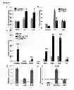 Fig. 06 - Methods for establishing and improving the survival of a population of pancreatic progenitor or stem cells