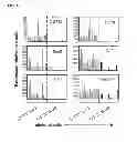 Fig. 13 - Methods for establishing and improving the survival of a population of pancreatic progenitor or stem cells