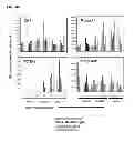 Fig. 17 - Methods for establishing and improving the survival of a population of pancreatic progenitor or stem cells