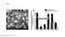 Fig. 02 - METHODS AND COMPOSITIONS FOR CULTURING CELLS