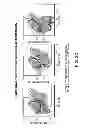 Fig. 06 - Mesenchymal Stromal Cell Populations and Methods of Making Same