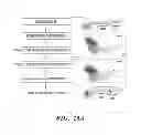 Fig. 28 - Combined chemical modification of sphingosine-1-phosphate (S1P) and CXCR4 signalling pathways for hematopoietic stem cell (HSC) mobilization and engraftment