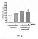 Fig. 11 - GHRH agonists for islet cell transplantation and function and the treatment of diabetes