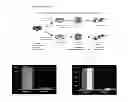 Fig. 02 - Technologies, methods, and products of small molecule directed tissue and organ regeneration from human pluripotent stem cells