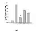 Fig. 07 - USE OF LACTOBACILLUS FOR LIVER PROTECTION