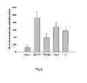 Fig. 09 - USE OF LACTOBACILLUS FOR LIVER PROTECTION