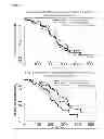 Fig. 09 - METHOD TO IDENTIFY A PATIENT WITH AN INCREASED LIKELIHOOD OF RESPONDING TO AN ANTI-CANCER THERAPY