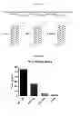 Fig. 15 - Anti-CD3 antibodies and methods of use thereof
