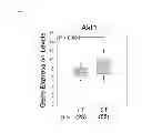 Fig. 08 - Methods used in sensitizing invasive glioblastoma to therapeutic treatment