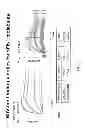 Fig. 13 - Multimeric constructs