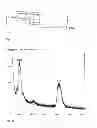 Fig. 02 - Oligosaccharides and oligosaccharide-protein conjugates derived from polysaccharide PS-I, methods of synthesis and uses thereof, in particular as vaccines and diagnostic tools