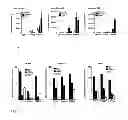 Fig. 06 - Oligosaccharides and oligosaccharide-protein conjugates derived from polysaccharide PS-I, methods of synthesis and uses thereof, in particular as vaccines and diagnostic tools