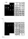 Fig. 08 - Oligosaccharides and oligosaccharide-protein conjugates derived from polysaccharide PS-I, methods of synthesis and uses thereof, in particular as vaccines and diagnostic tools